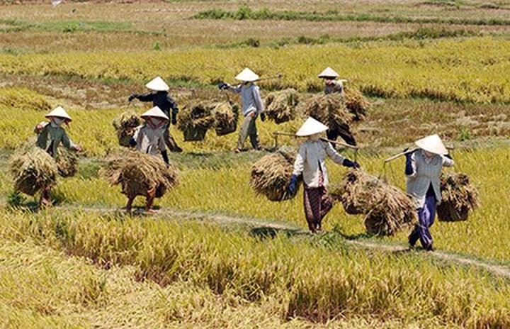 Hotspot Matrix: Giải pháp quản lý đa tài khoản, đa nền tảng cho video ngắn