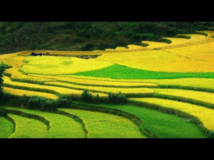 Nữ diễn viên có style 
