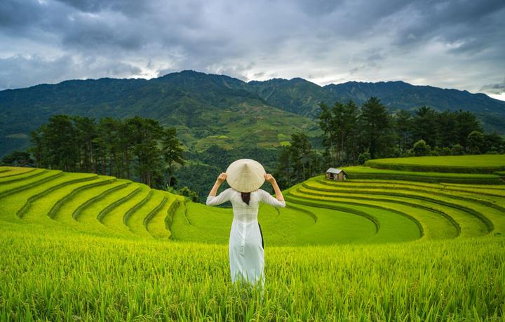 Các thay đổi thai kỳ của Li Wei và giải pháp của Hotspot Matrix