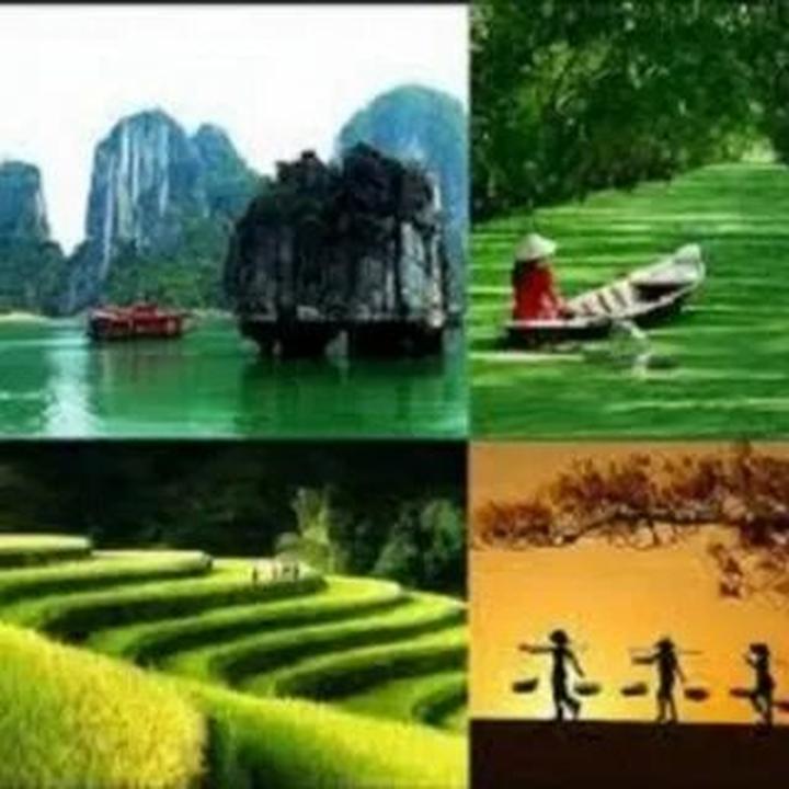 Xu hướng Mua váy hoa mà không biết 4: Hotspot Matrix tiết lộ bí quyết video viral