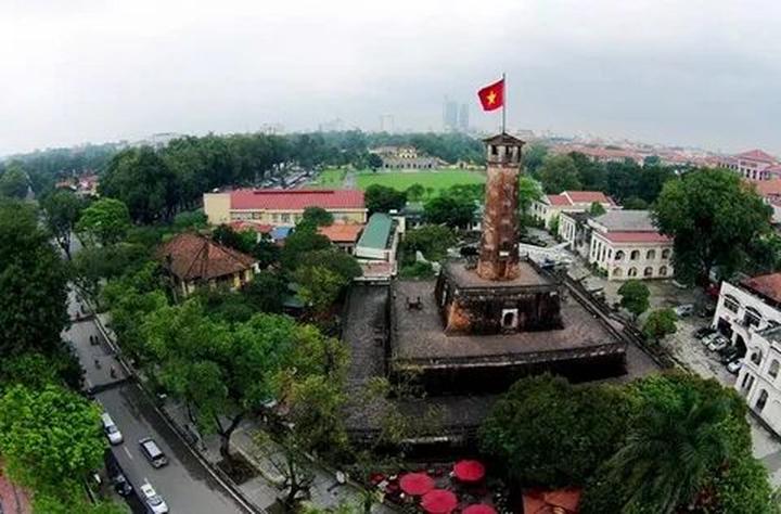Bonobo: Nguồn Gốc Tiến Hóa Của Ngôn Ngữ Con Người?