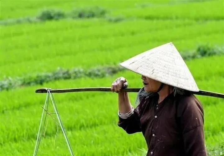 Xu hướng Loài cá kỳ lạ nhất châu Phi:: Hotspot Matrix tiết lộ bí quyết video viral