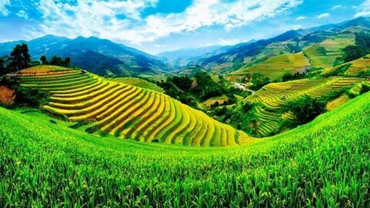 Thương mại hóa nội dung: Chìa khóa vàng trong kỷ nguyên video ngắn